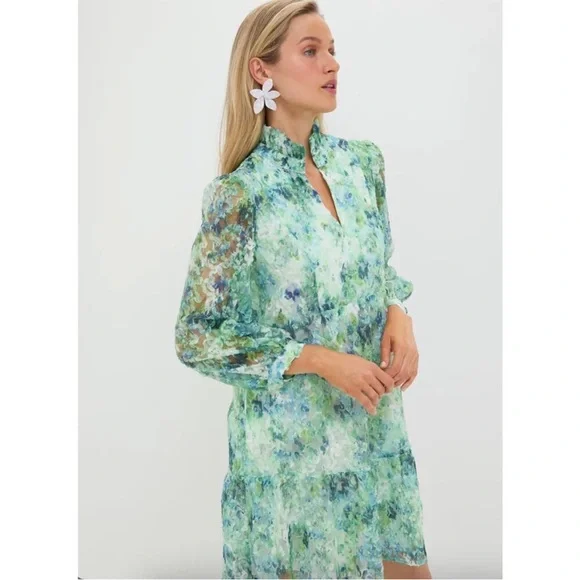 Tuckernuck Water Lilies Organza Palmerston Dress Sz XS NWT